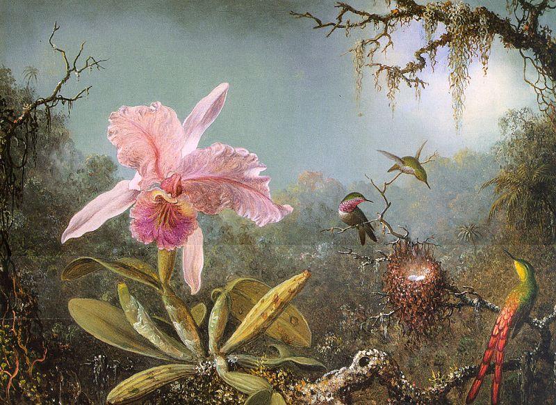 Martin Johnson Heade Cattleya Orchid Three Brazilian Hummingbirds china oil painting image